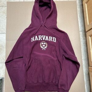 Maroon Men's Hoodie